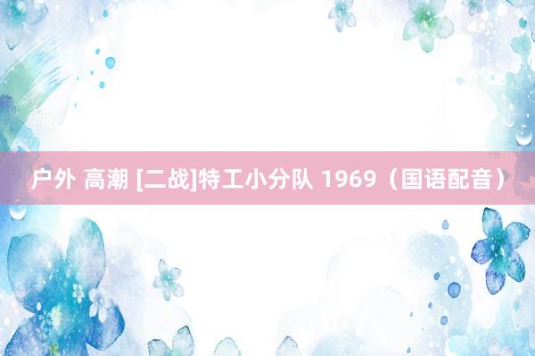 户外 高潮 [二战]特工小分队 1969（国语配音）